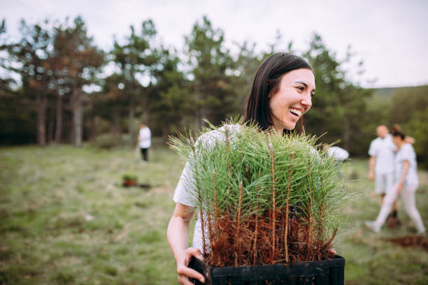 Soil Conservation